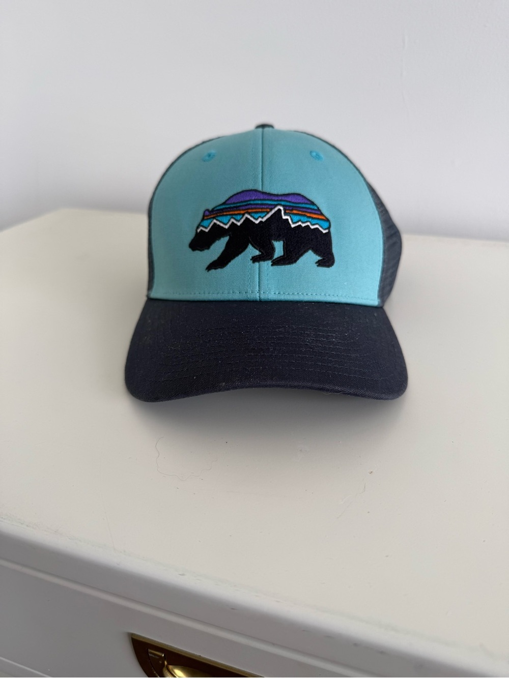 Patagonia Bear Trucker Hat
